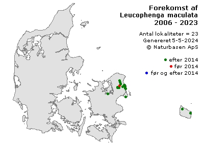 Leucophenga maculata - udbredelseskort