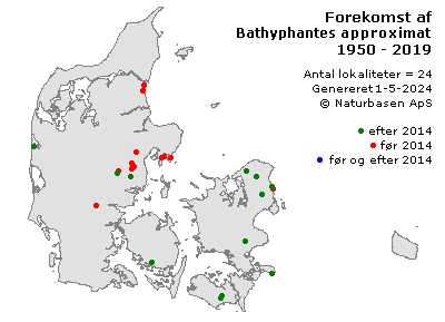 Bathyphantes approximatus - udbredelseskort