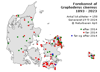 Graphoderus cinereus - udbredelseskort