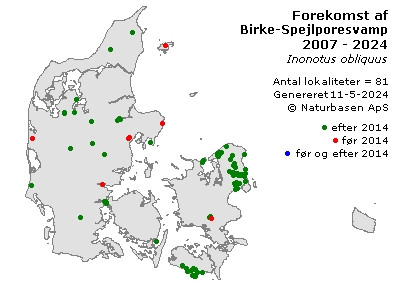 Birke-Spejlporesvamp - udbredelseskort