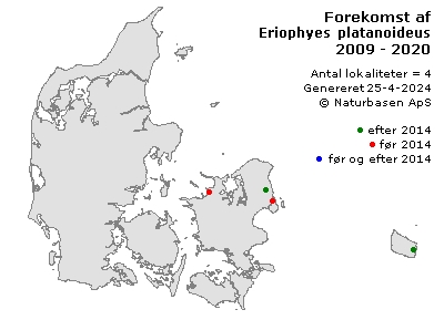 Eriophyes platanoideus - udbredelseskort