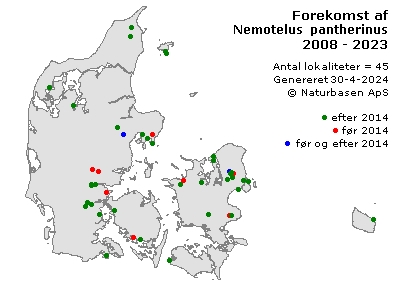 Nemotelus pantherinus - udbredelseskort