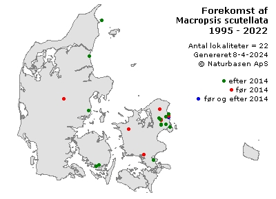 Macropsis scutellata - udbredelseskort