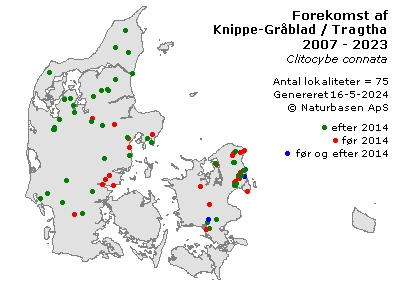 Knippe-Gråblad / Tragthat - udbredelseskort