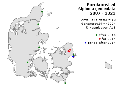 Siphona geniculata - udbredelseskort