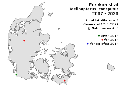 Melinopterus consputus - udbredelseskort