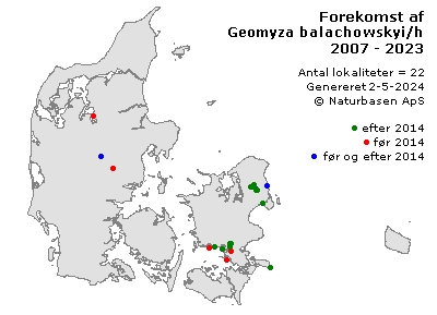 Geomyza balachowskyi/hackmani - udbredelseskort