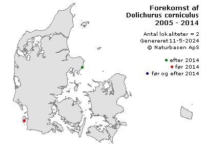 Dolichurus corniculus - udbredelseskort
