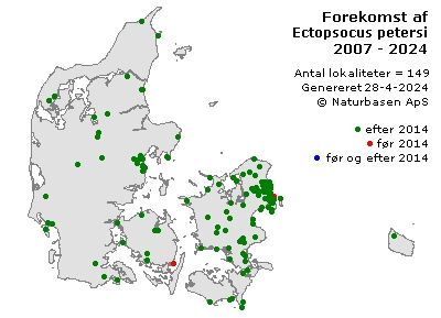 Ectopsocus petersi - udbredelseskort