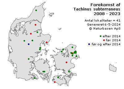 Tachinus subterraneus - udbredelseskort