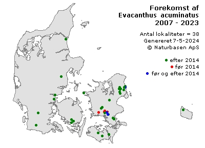 Evacanthus acuminatus - udbredelseskort