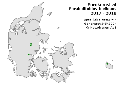 Parabolitobius inclinans - udbredelseskort