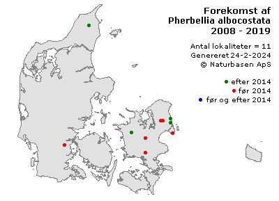 Pherbellia albocostata - udbredelseskort