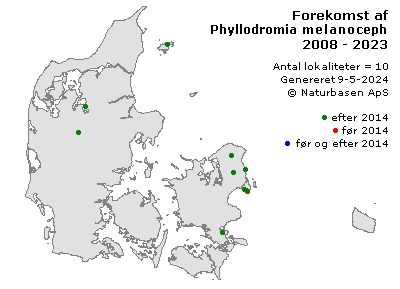 Phyllodromia melanocephala - udbredelseskort