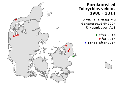 Eubrychius velutus - udbredelseskort