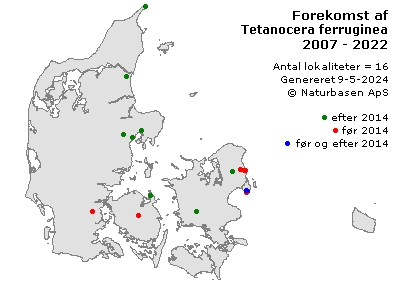 Tetanocera ferruginea - udbredelseskort