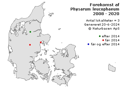 Physarum leucophaeum - udbredelseskort