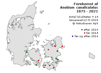 Anobium canaliculatus - udbredelseskort