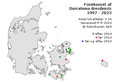 Dorcatoma dresdensis - udbredelseskort