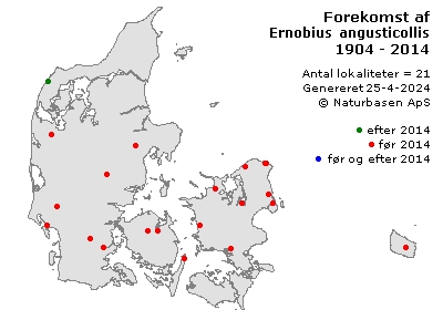 Ernobius angusticollis - udbredelseskort