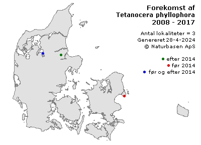 Tetanocera phyllophora - udbredelseskort