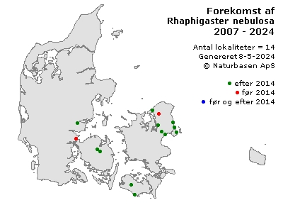 Rhaphigaster nebulosa - udbredelseskort