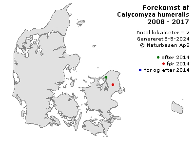 Calycomyza humeralis - udbredelseskort