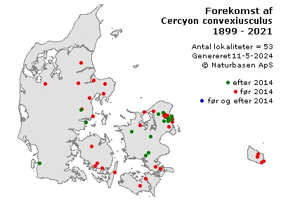 Cercyon convexiusculus - udbredelseskort