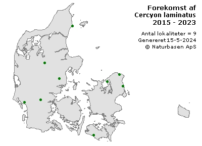 Cercyon laminatus - udbredelseskort