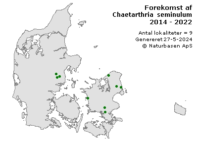 Chaetarthria seminulum - udbredelseskort