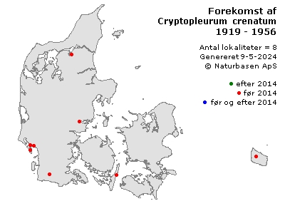 Cryptopleurum crenatum - udbredelseskort