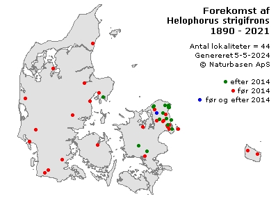 Helophorus strigifrons - udbredelseskort